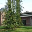 Weekendje weg - Landgoed Holthurnsche Hof