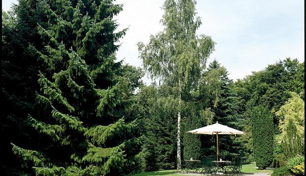 hotel Bilderberg Hotel De BuunderkampWolfheze