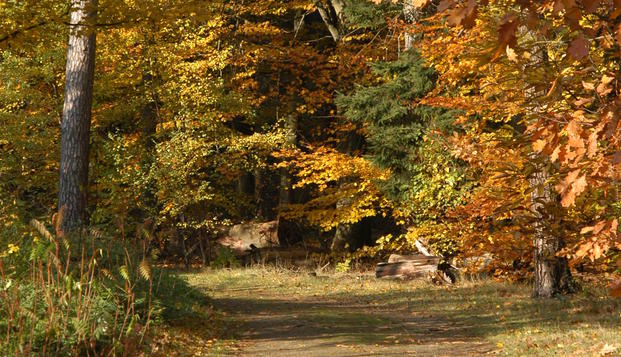 hotel Bilderberg Hotel De BilderbergOosterbeek