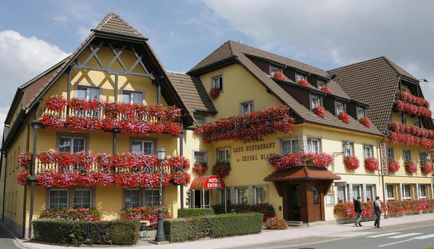 hotel Hôtel-Restaurant Au Cheval BlancBaldersheim (68)