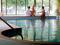 hotel Hotel de Rijsserberg - Hampshire Classic Rijssen