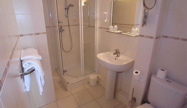 hotel Brithotel Spa Restaurant Du CommerceBergerac (24)