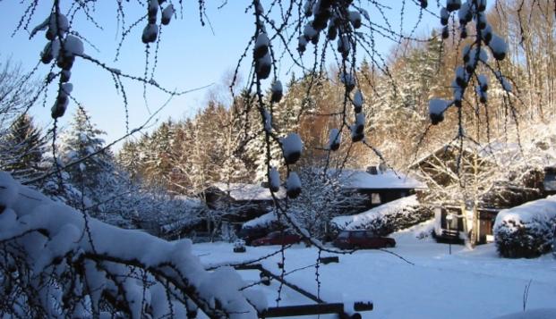 hotel Feriendorf ReinskopfSchönecken
