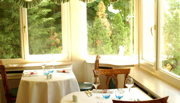 hotel Hôtel du Parc & Spa - ThannThann (68)
