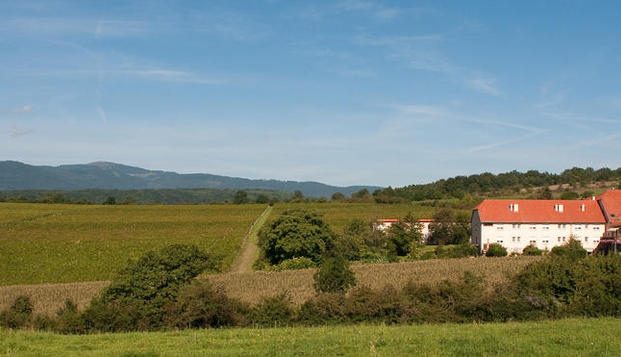 hotel Hôtel du BollenbergRouffach (68)