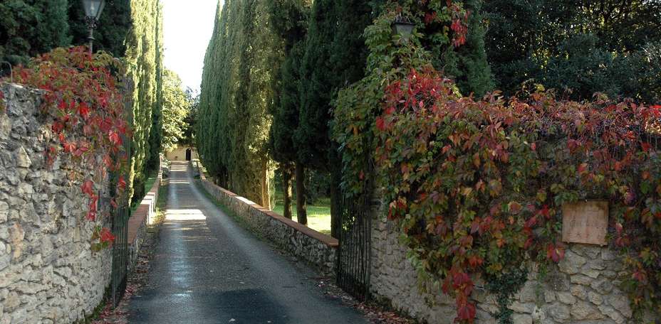 Borgo San Luigi - 