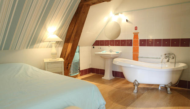 hotel Le Relais Louis XIMeung sur Loire (45)