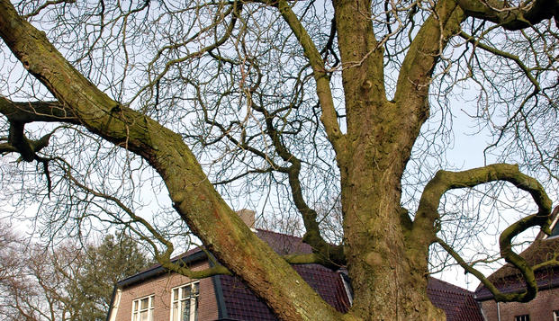 hotel Lubbelinkhof - Historic Hotels of the BeneluxOdoorn