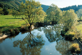 Domaine des Hautes Fagnes - Paysage
