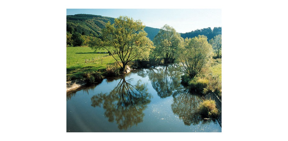Domaine des Hautes Fagnes - Paysage
