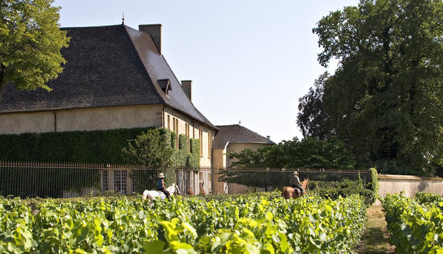 hotel Château de Pizay Saint Jean d'Ardières (69)