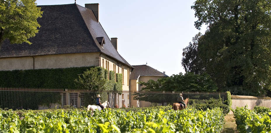 Château de Pizay  - Façade