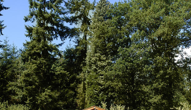 hotel Tulip Inn de VeluweBeekbergen