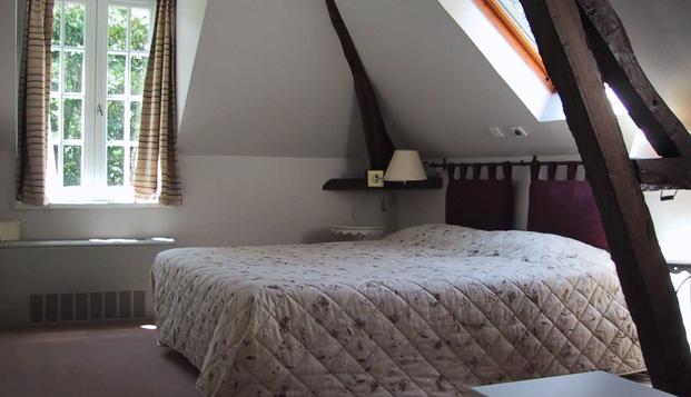 hotel Domaine de ValaudranSalbris (41)
