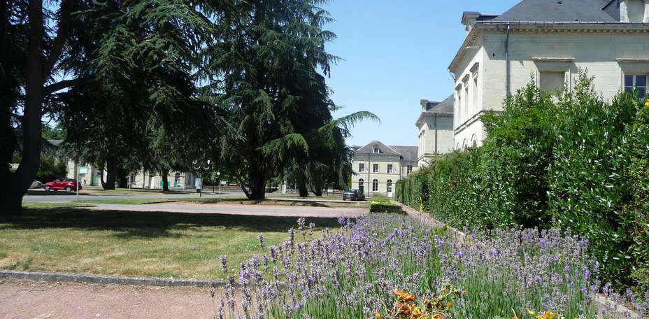 Domaine Saint Hilaire  - 