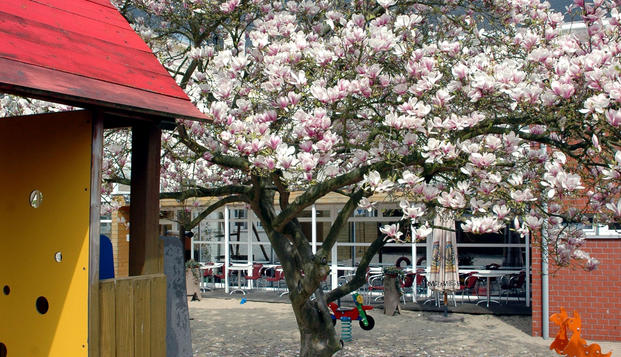 hotel Au Couvent des CollinesEllezelles
