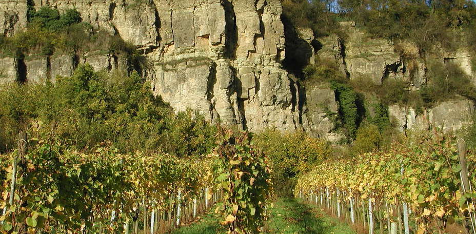 Hampshire Moselhotel - Nitteler Hof - Jardins, parc