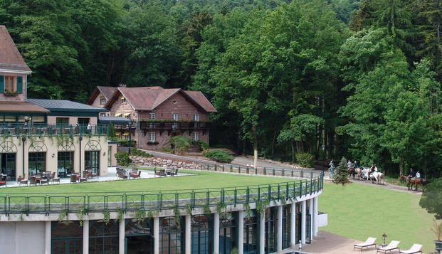 hotel Hôtel & Spa Les ViolettesSoultz (68)