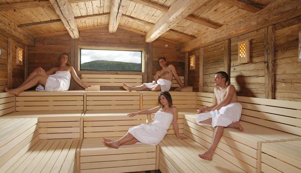 hotel Hôtel & Spa Les ViolettesSoultz (68)