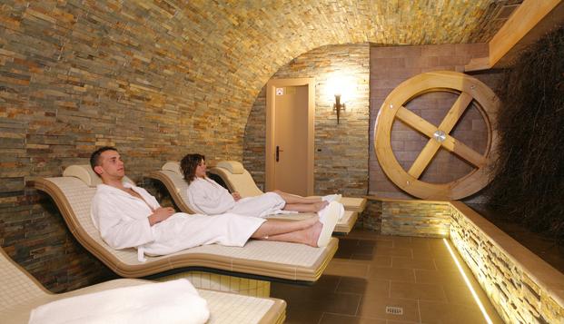 hotel Hôtel & Spa Les ViolettesSoultz (68)