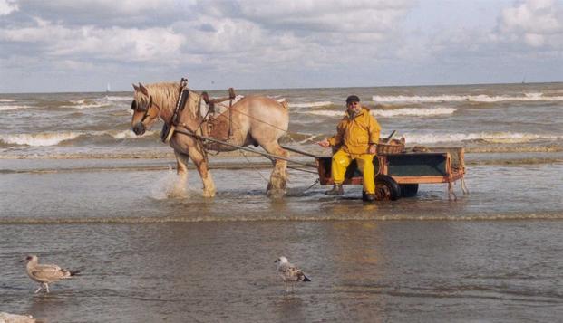 hotel Domein WesthoekOostduinkerke