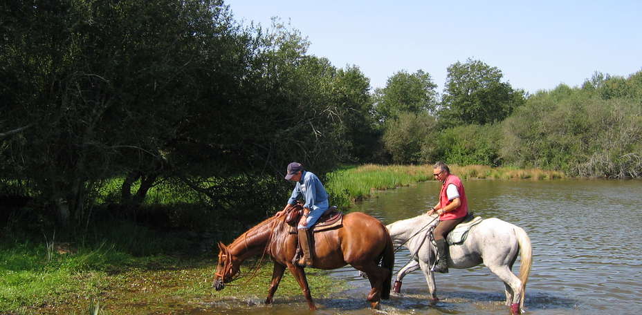 Le Domaine de Dienné - 