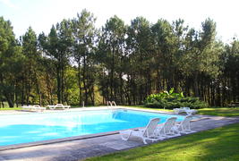 Manoir du Grand Vignoble - Piscine