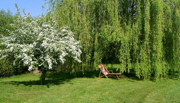hotel Domaine Le Clos BigotChitenay (41)