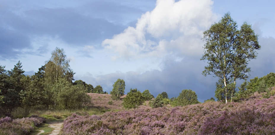 Eurotel Lanaken - Different Hotels - Paysage