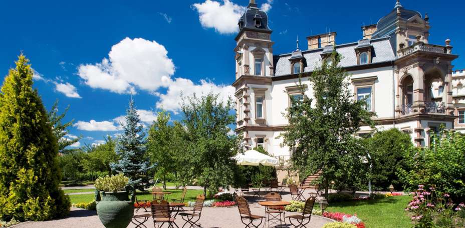 Château de l'Ile - 
