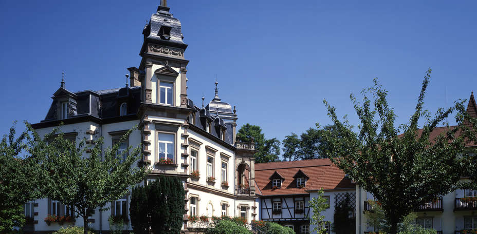 Château de l'Ile - Façade