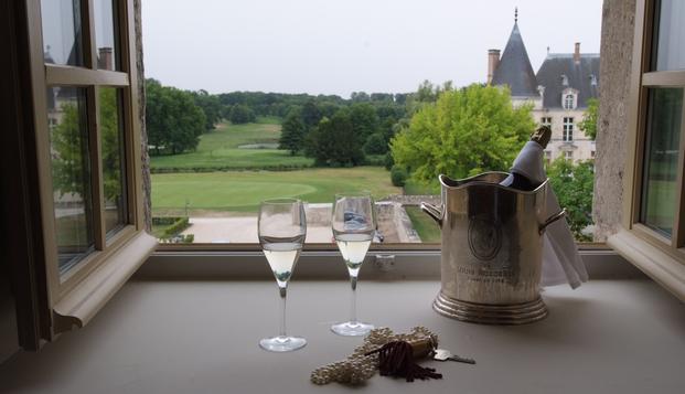 hotel Château d'AugervilleAugerville-La-Rivière (45)