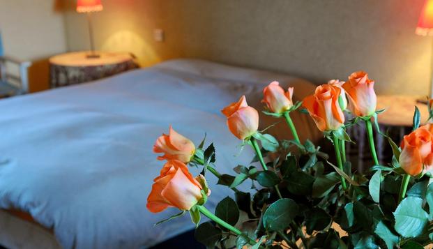 hotel Manoir des CognetsPlurien (22)