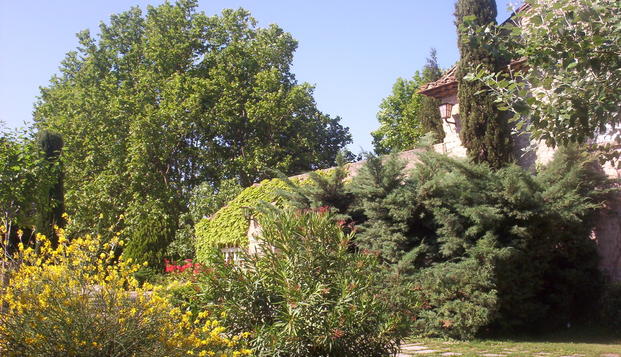 hotel Mas de Cure Bourse L'Isle sur la Sorgue (84)