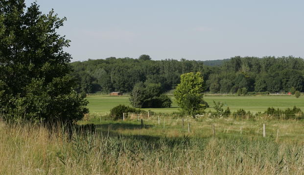 hotel Orée du Bois & SpaVittel (88)