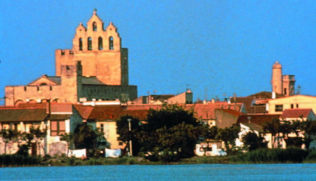 hotel Thalacap Camargue Saintes Maries de la Mer (13)