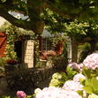 Weekendje weg - Villa Catarie