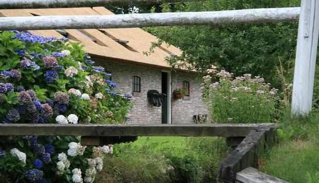 hotel De HarmonieGiethoorn
