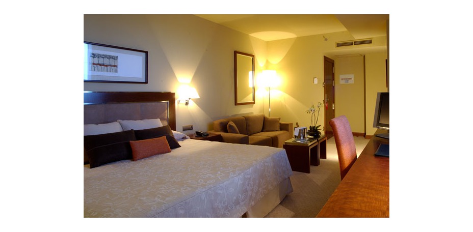 Hotel Nuevo Madrid - 