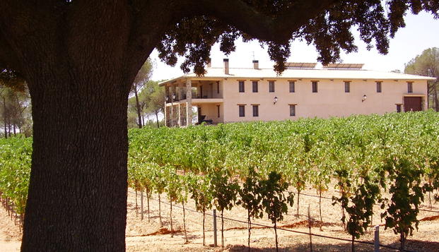 hotel Hotel Casa Quintana - Vitis NaturaCasas de Santa Cruz