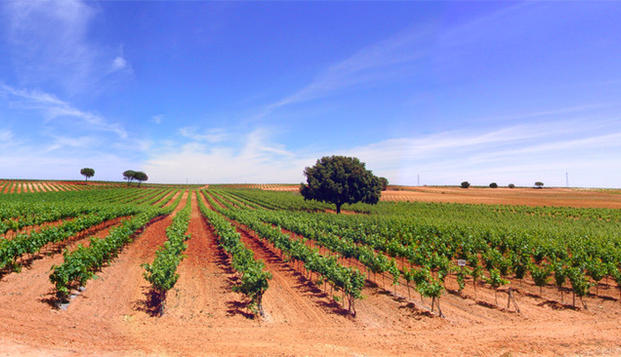 hotel Hotel Casa Quintana - Vitis NaturaCasas de Santa Cruz