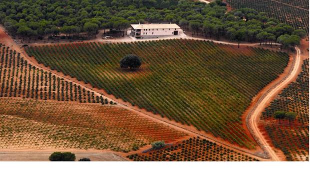 hotel Hotel Casa Quintana - Vitis NaturaCasas de Santa Cruz