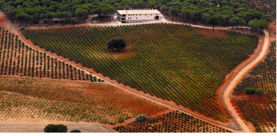 Hotel Casa Quintana - Vitis Natura - 