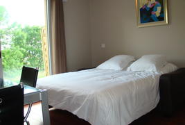 Les Balcons du Sancy - Studio