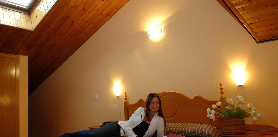 Hotel Vall Ski - 