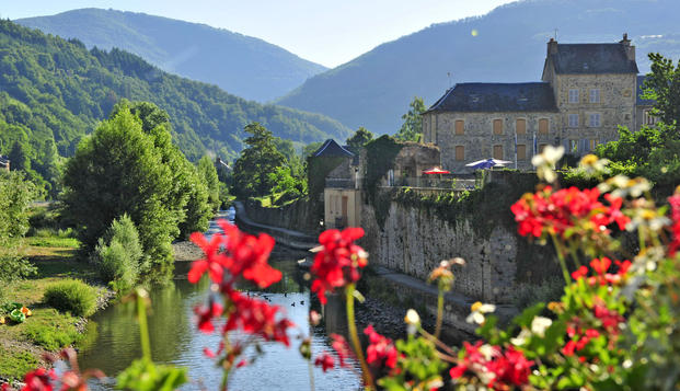 hotel Le château RicardSaint-Geniez-d'Olt