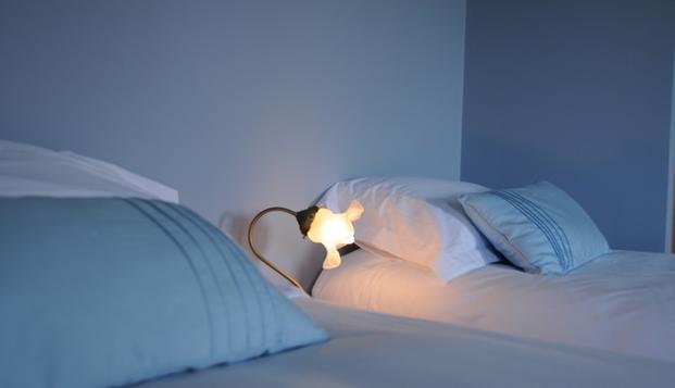 hotel Le Chemin des IlesIle aux Moines (56)