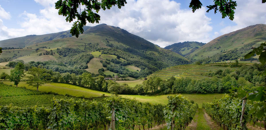 Auberge Ostapé - Paysage