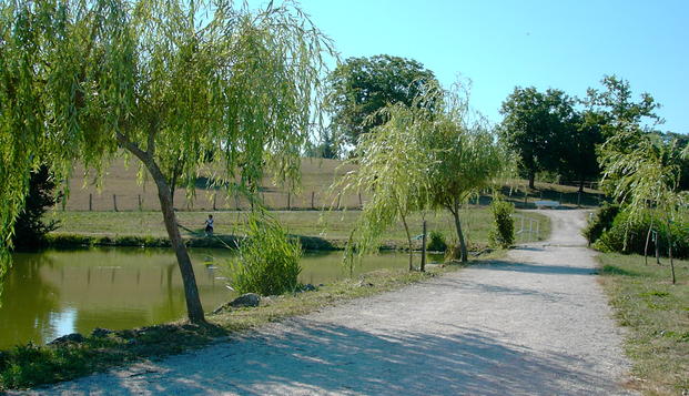 hotel Hôtel du Lac de la MezelleBourbonne-les-Bains (52)