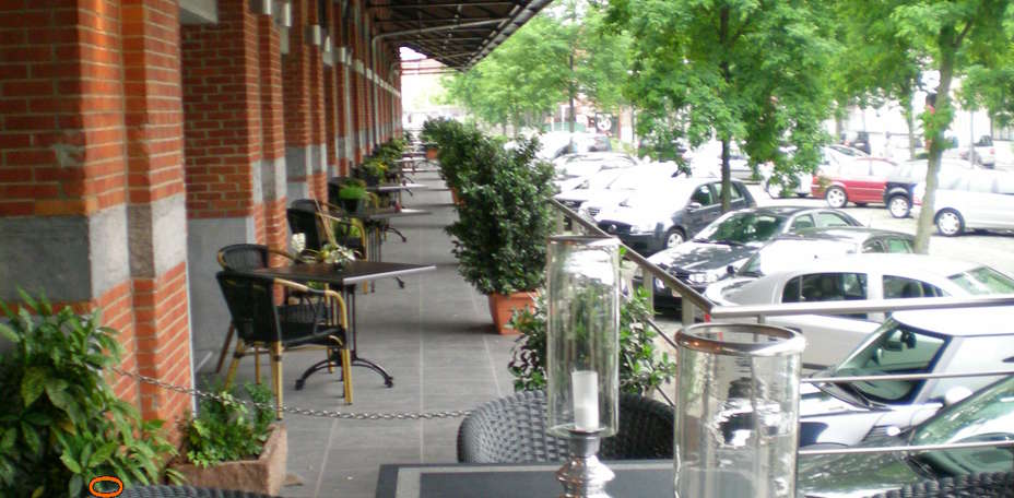 Best Western Turnhout City Hotel - Terrasse